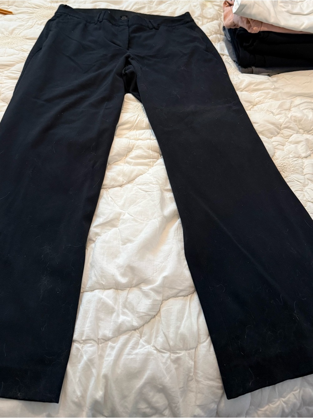 Lane Bryant Black Straight-Leg Dress Pants